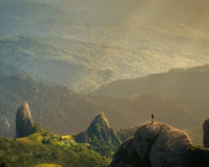 Нощувка на човек в Дончо Войвода, Копривщица