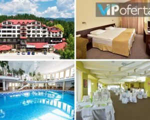 Еднодневен пакет на база All inclusive. + басейн и сауна в Хотел Снежанка, Пампорово