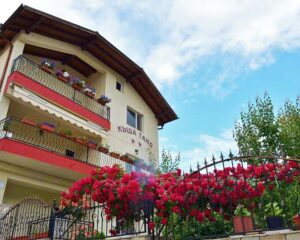 Нощувка на човек в къща за гости Таня, Добринище