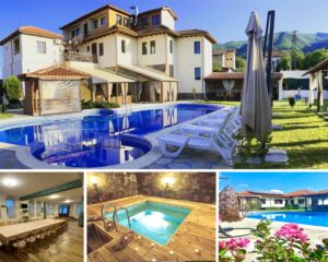 Почивка в Родопите! Нощувка до 20 човека + външен басейн, релакс зона и голяма трапезария с оборудвана кухня от Флора, село Паталеница