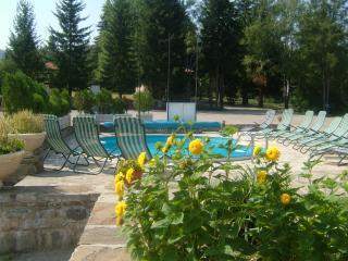 Наздравици без край в Новогодишната нощ, 3 дни с Празнична вечеря в хотел Виа Траяна, Беклемето - Image 3