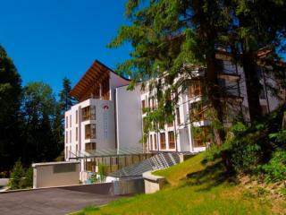 ТОП оферта за Нова година, 2 нощувки с Празнична вечеря в хотел Радинас Уей, Боровец - Image 2