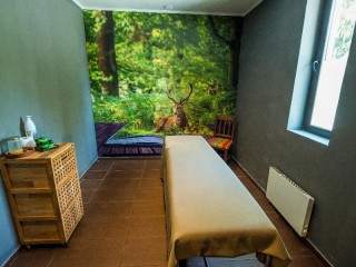 Нова година в Пампорово, 3 дни с Празнична програма в хотел Снежанка - Image 2