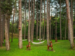 СПА Нова година във Велинград, 3 ношувки със закуски и вечери в СПА хотел Инфинити - Image 5